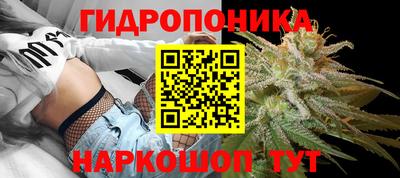 тгк Краснодар