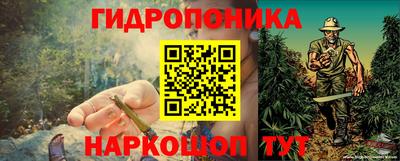 тгк Краснодар