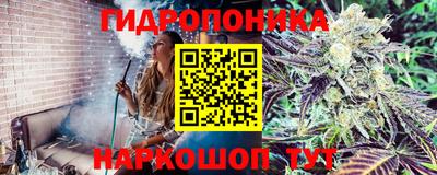 молекула духа Краснокаменск