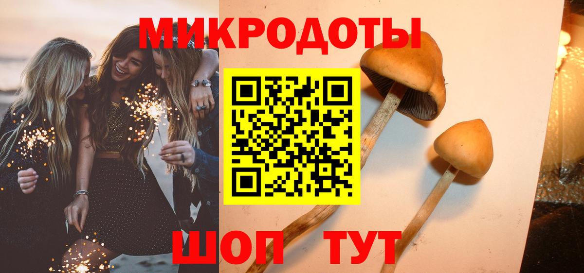 Калуга  наркота  Галлюциногенные грибы прущие грибы  Вход с VPN  Псилоцибиновые грибы мицелий 